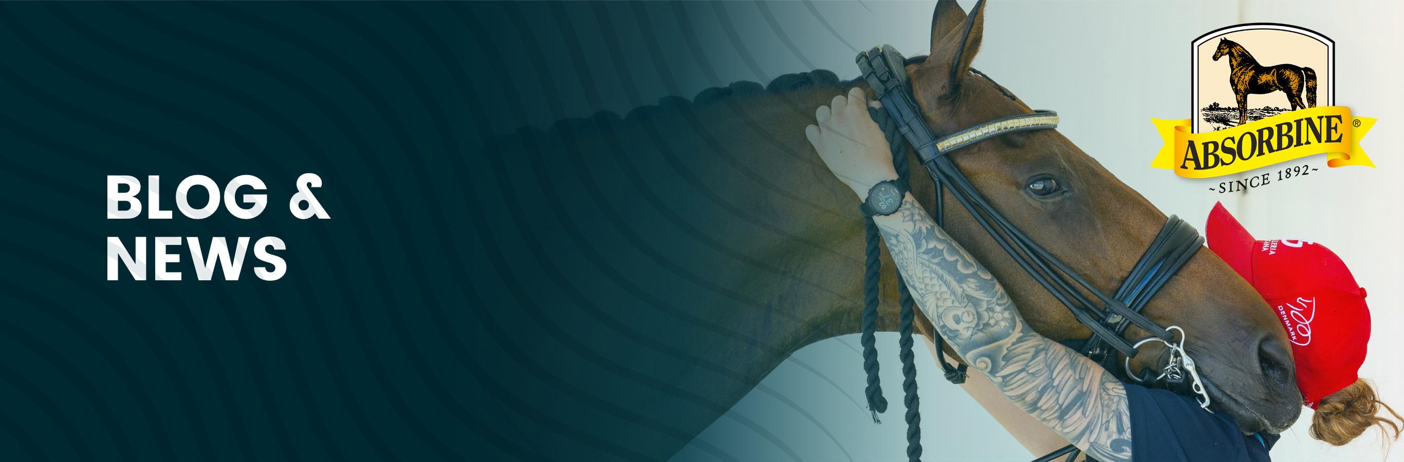 Desktop Page Hero Image