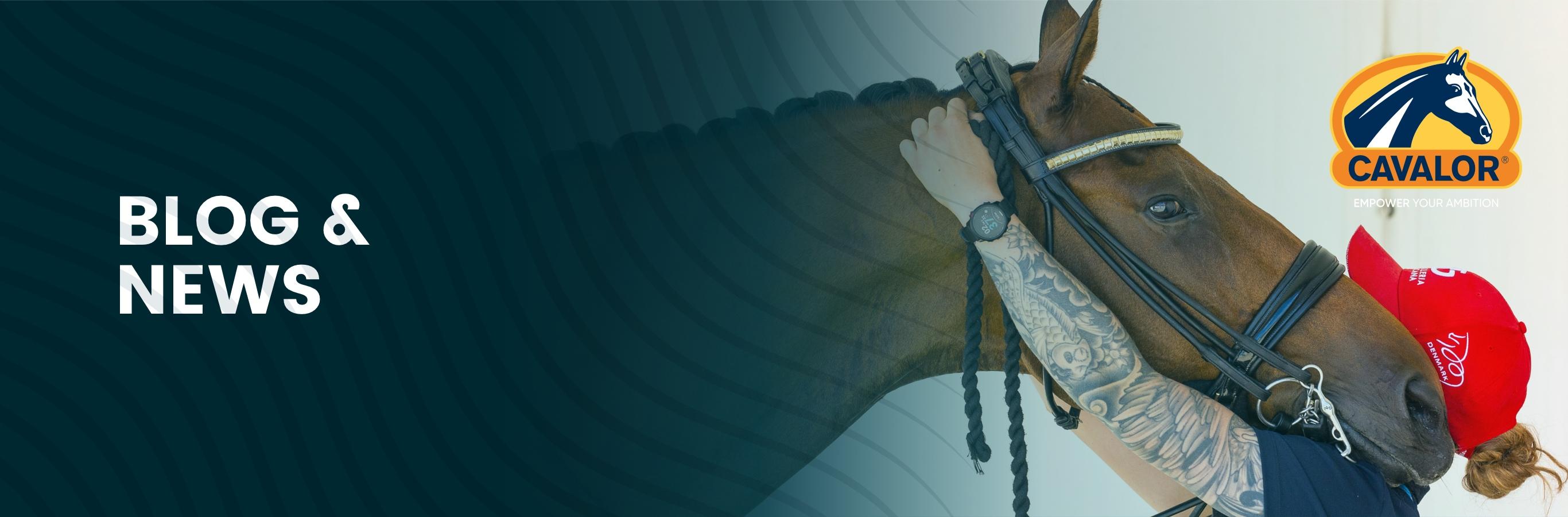 Desktop Page Hero Image